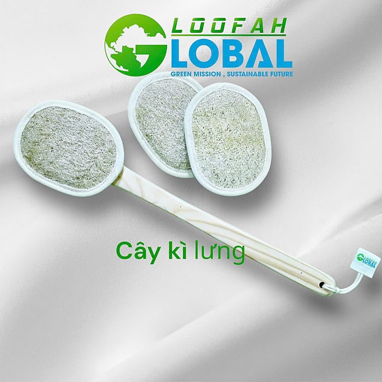 Cây Kì lưng