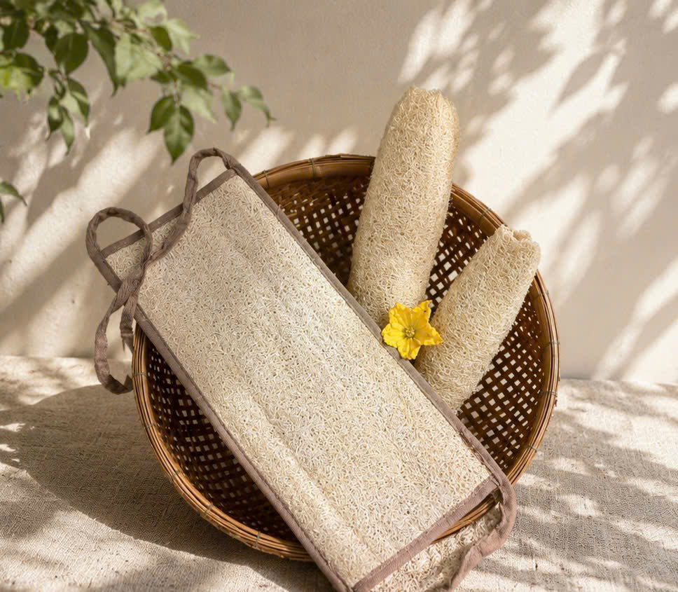 Đai kì lưng hình chữ nhật